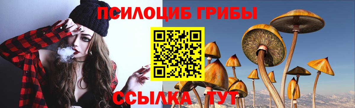 Псилоцибиновые грибы мицелий  Вход с VPN  Ревда 